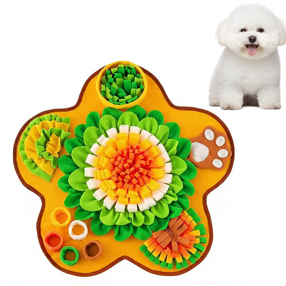 Amazon.co.jp: Lifetips ビション・フリーゼ（Bichon Frisé） 犬用